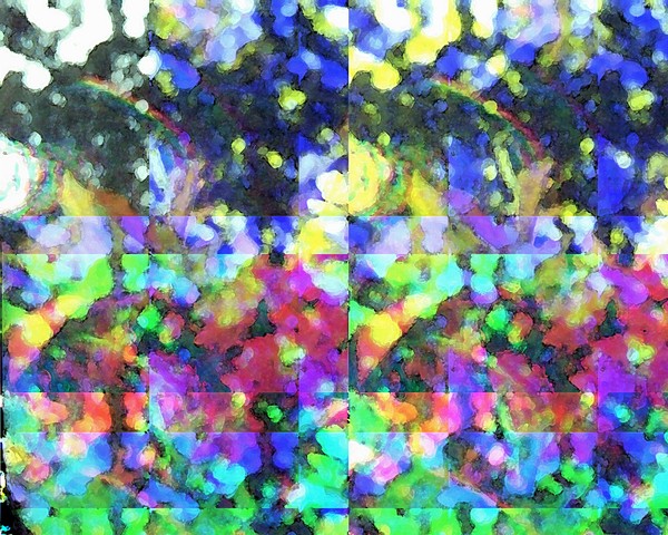 A Myriad Of Colour