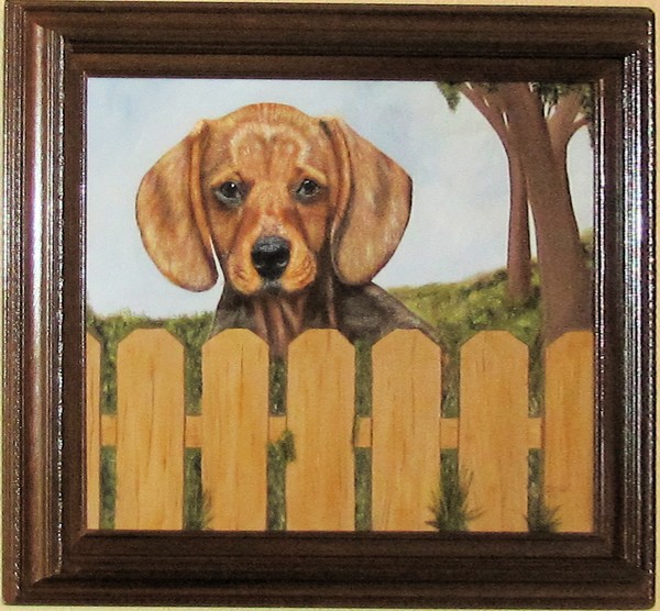 Dachshund Behind Fence