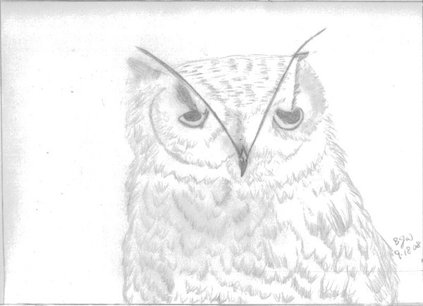 BettyWillson_Sketch3