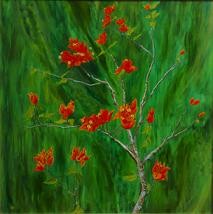 bougainvillea forever