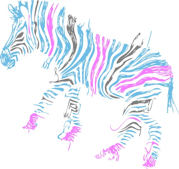 Zebra1