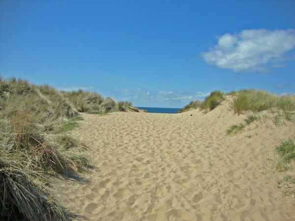 Down to the Sea