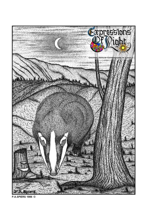 ExpoLight-Graphic-Arts-Badger-In-Moonlight-1986-0001 (Pen-&-Ink-Mono-SP)