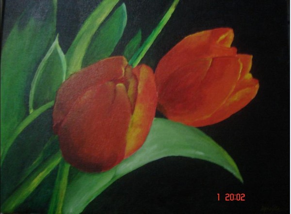 Tulips
