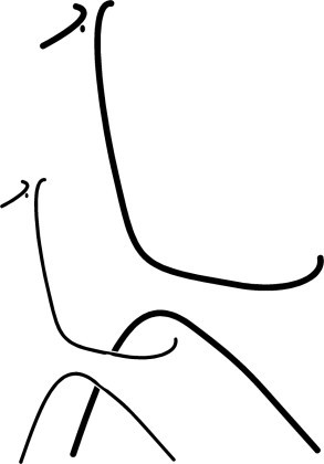 Giraffes
