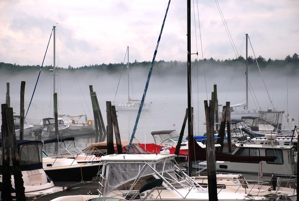 Foggy Port