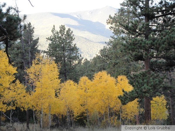 Fall Foilage Sept 2011 My camera 017