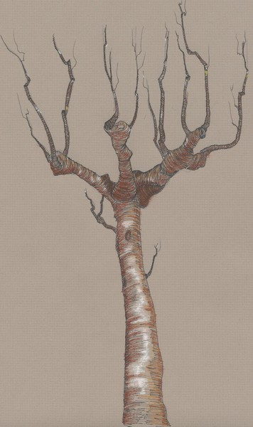 Pastel / Pen Tree