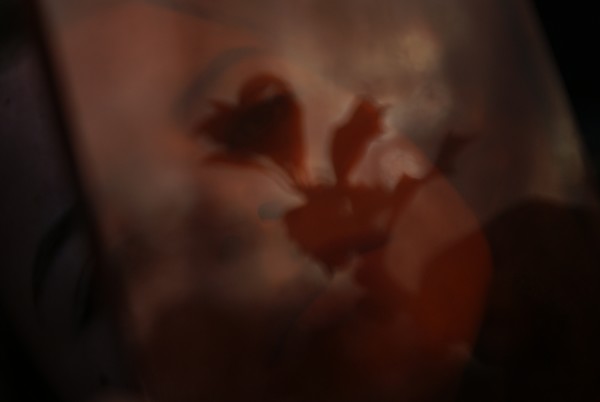 To Alice