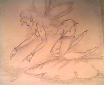 fairy