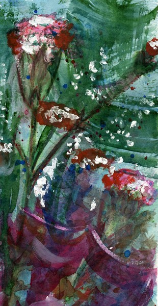 Carnations