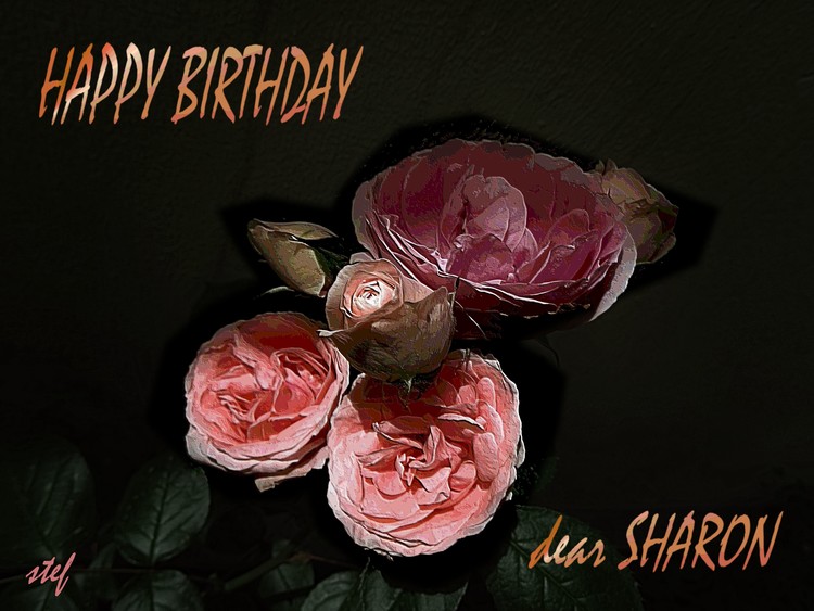 pink roses for Sharon