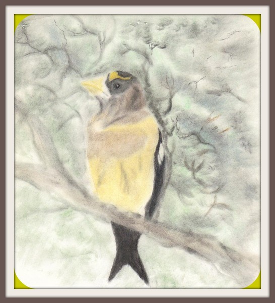 as for the birds
