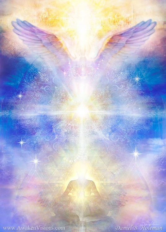V063MeopicMeditator2016 web