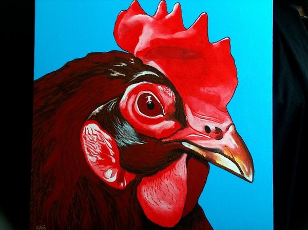rooster