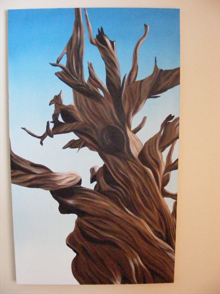 dead tree, 2009