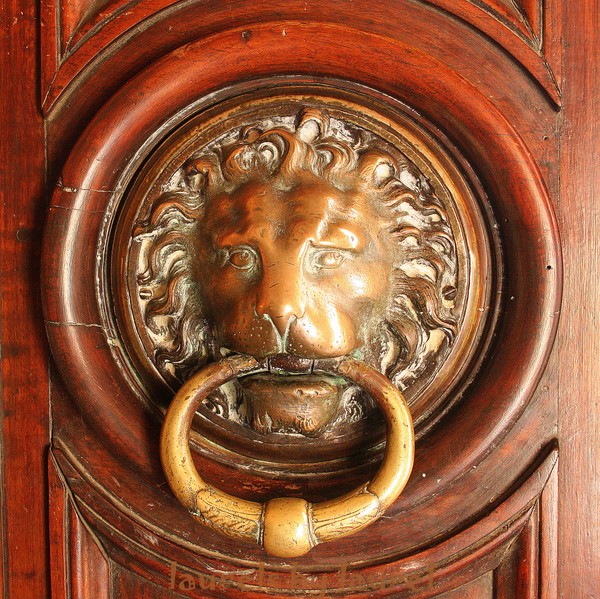 Elegant Door Knocker in Arles