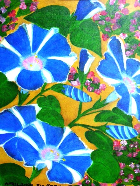 Morning Glory