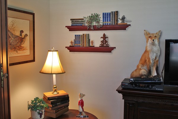 Sandy's library