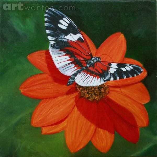 Butterfly
