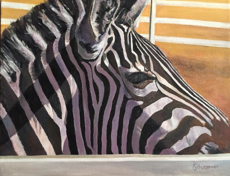 Malibu Zebra