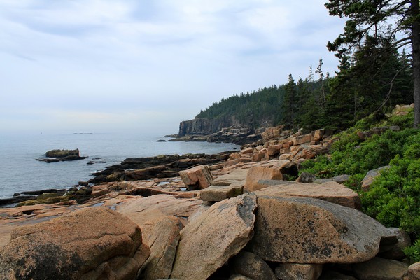 Otter Cliffs at Low Tide