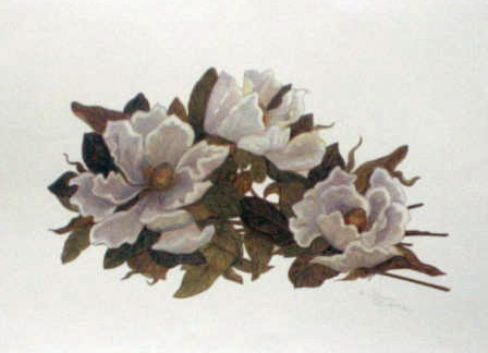 Magnolia Print