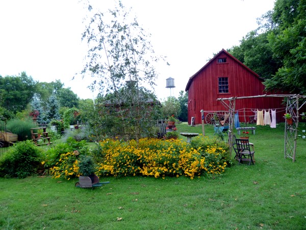 Backyard Memories