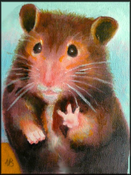 HAMSTER BUDDY