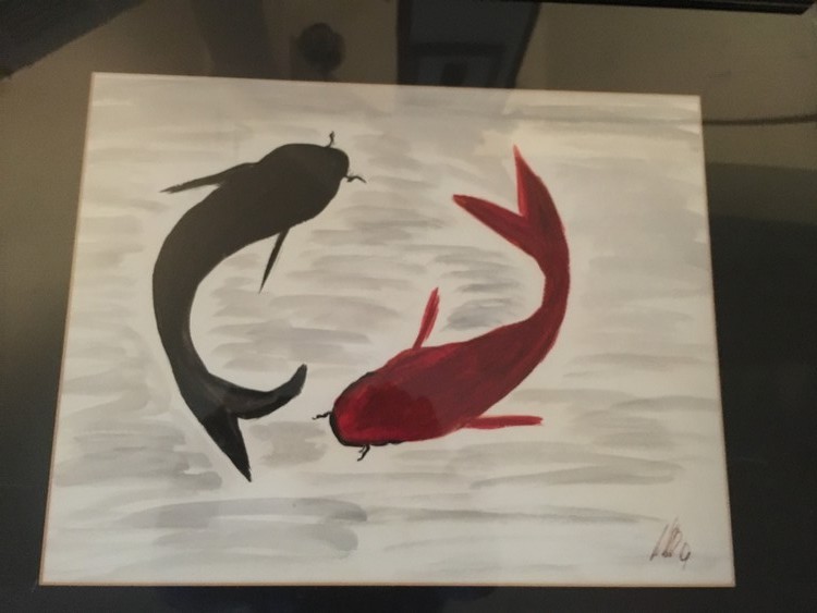 Koi in my backyard pond