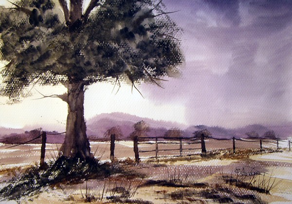 The Old Tree