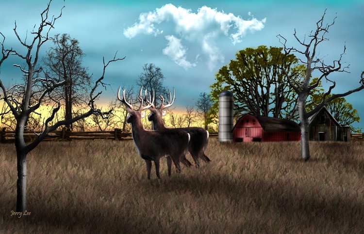 Deer On A Farm 