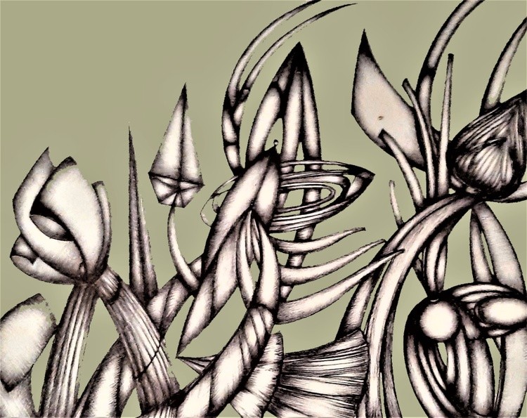 SPAZIO    SD 5 