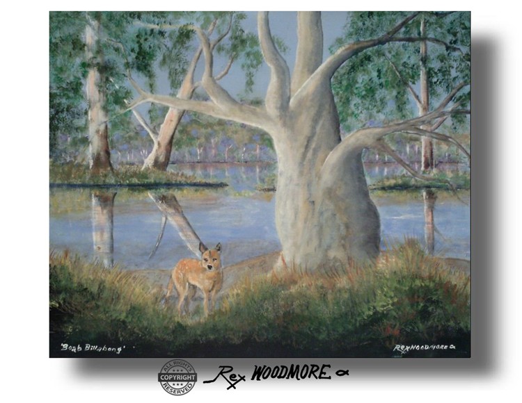 Boab Billabong