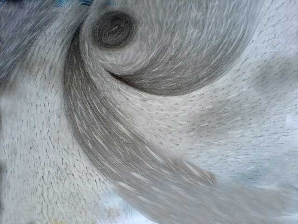 Movement in the sea