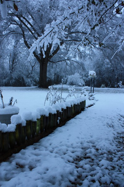 Snowcapped Merlot