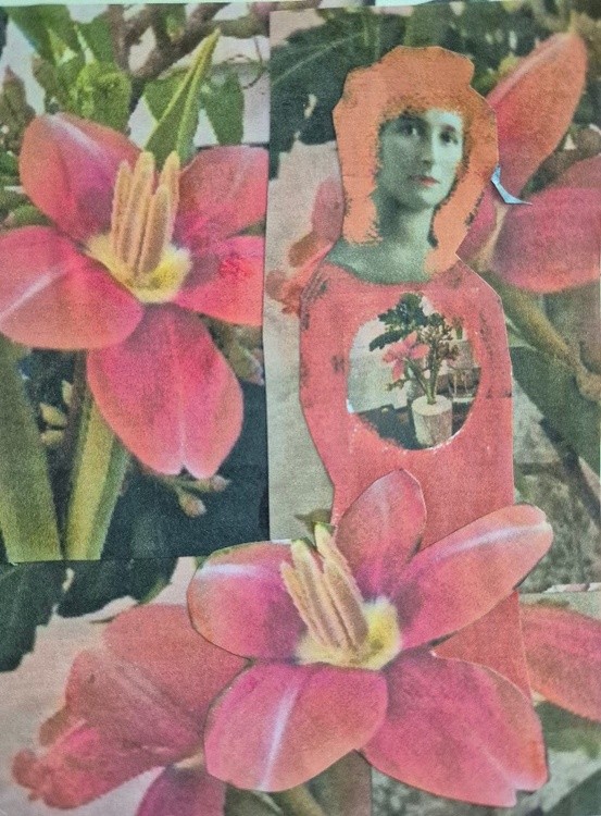 Collage no 33, Dec. 2024