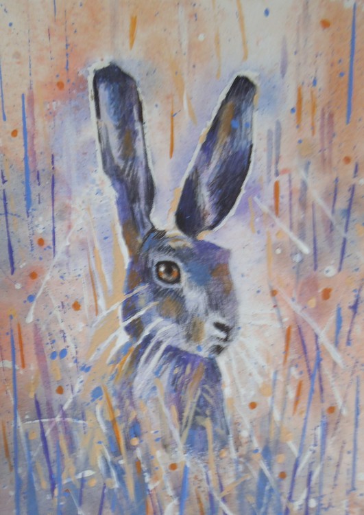 hare in meadows