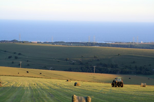 A Farmer's Summer Evening