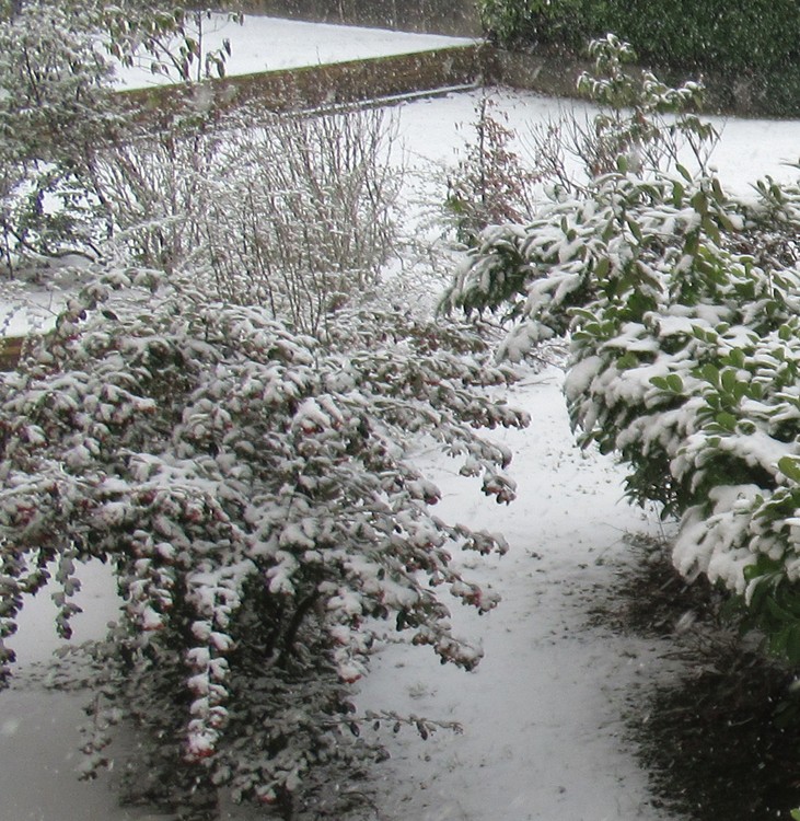 MY WINTER