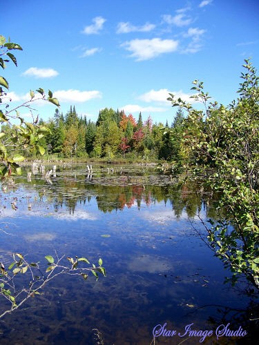 THE OLD MILL POND BAY
