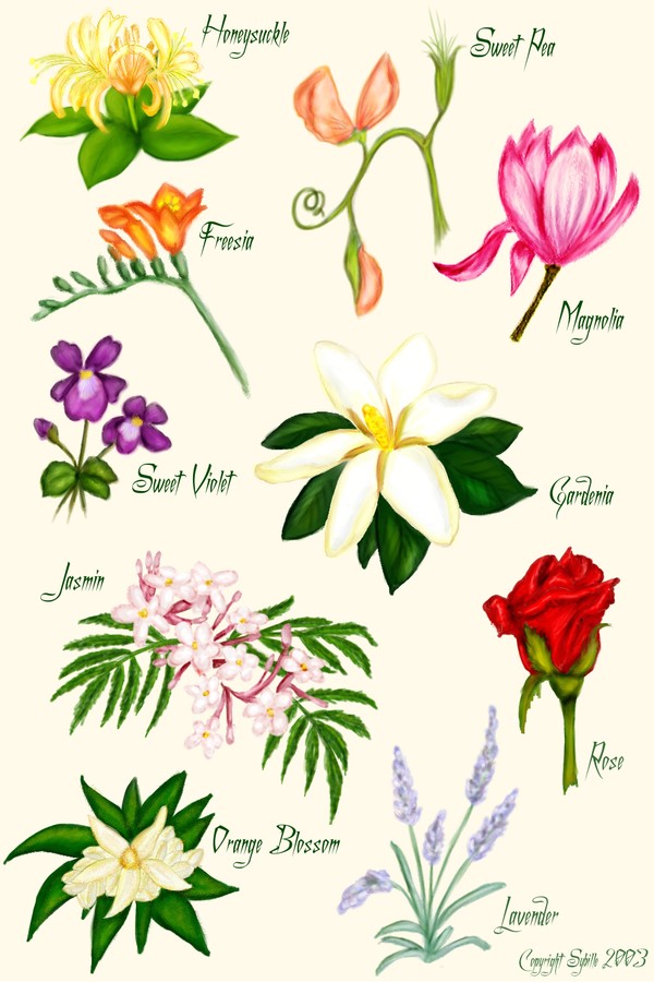 Flower Designs