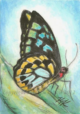 Stained Glass Butterfly ACEO