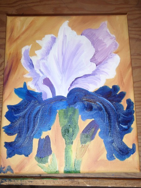 Iris