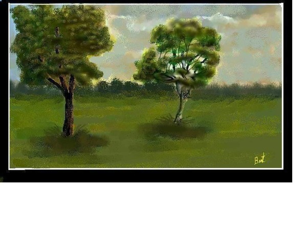 TwoTrees