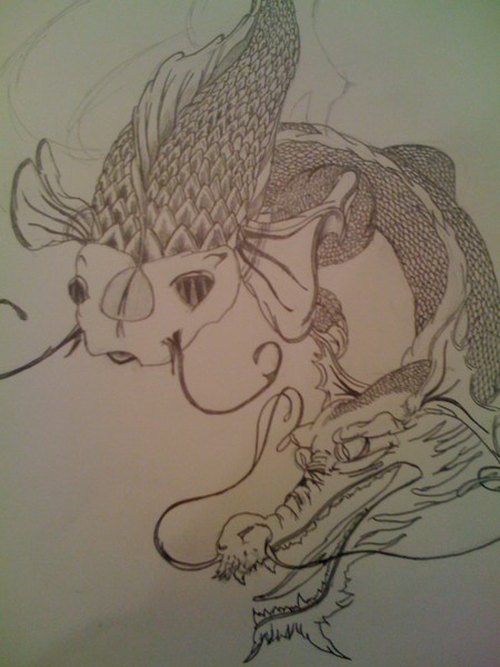 Dragon Coy