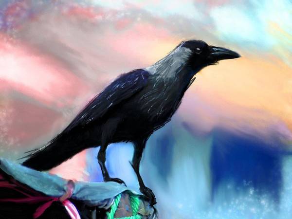 Crow1