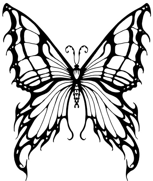 Wicked Butterfly