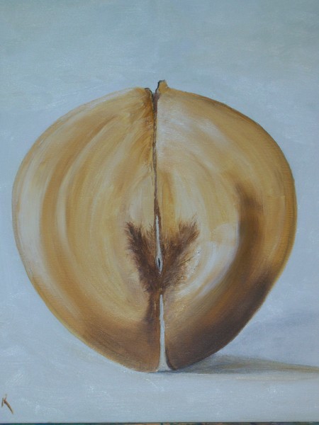 Coco de Mer,