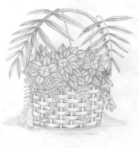 Basket of Plants